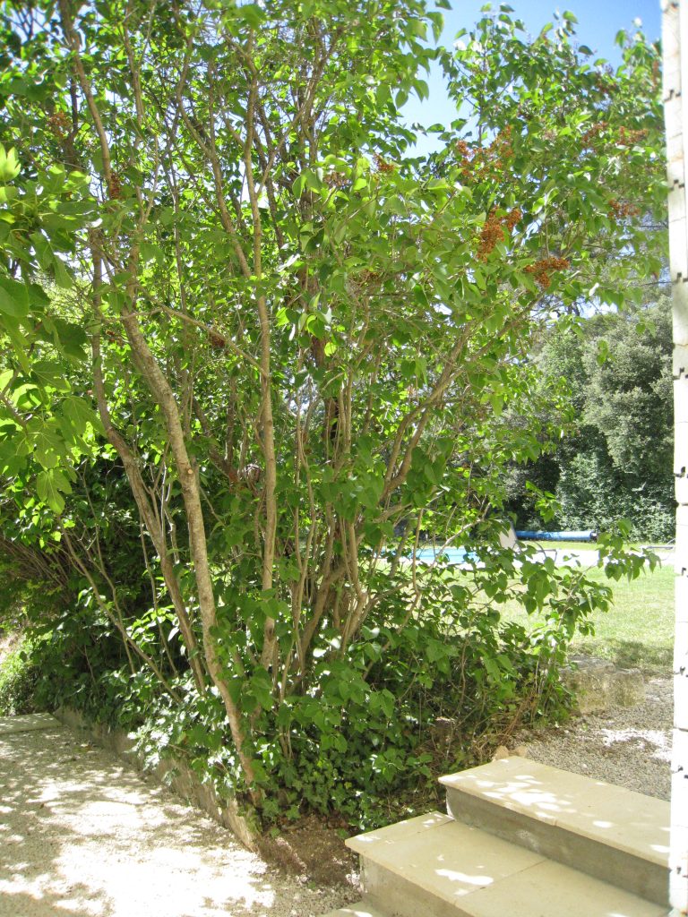 Appartement 7-lodge saint jerome-bastide de ganay-vue jardin-3