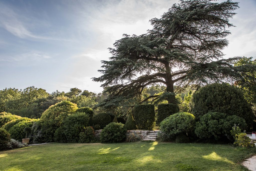 Ganay 2 extérieur (9 sur 17)